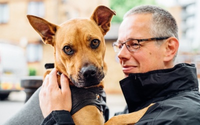 Dogs at Weddings | Top tips from animal charity The Mayhew Animal Home